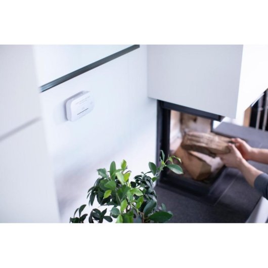 Détecteur de gaz Brennenstuhl CM A 3030 Monoxyde de carbone Alarme 85 dB LED