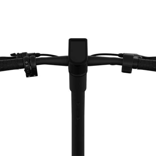 Patinete eléctrico Egret X prime 480W Autonomía 65km Frenos de disco Negro