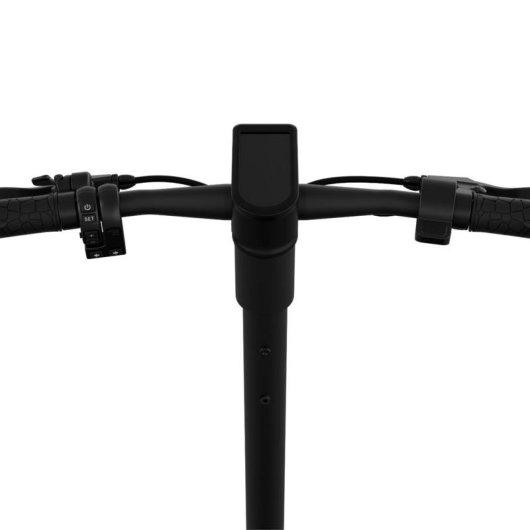 Patinete électrique Egret X core 20 km/h Autonomie 80 km Roues gonflables Freins à disque Noir