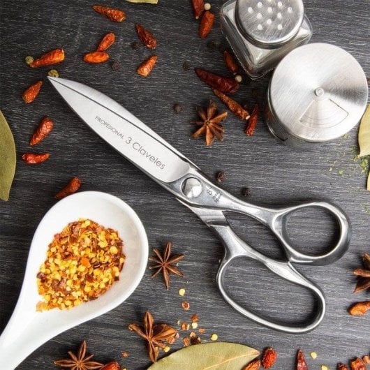 Wasserkocher Briebe Nordic 2,3L Induktion Edelstahl Vintage