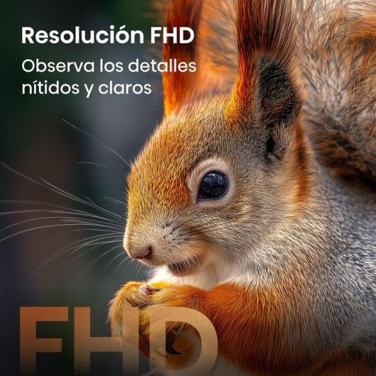 TV Hisense QLED 40A5S 40" Full HD 60Hz Smart TV HomeOS HDR10 HLG Subwoofer