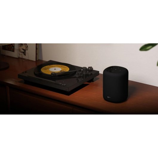 Altavoces WiiM Portátiles 2.0 canales 100W con Wi-Fi 6E y Alexa integrada