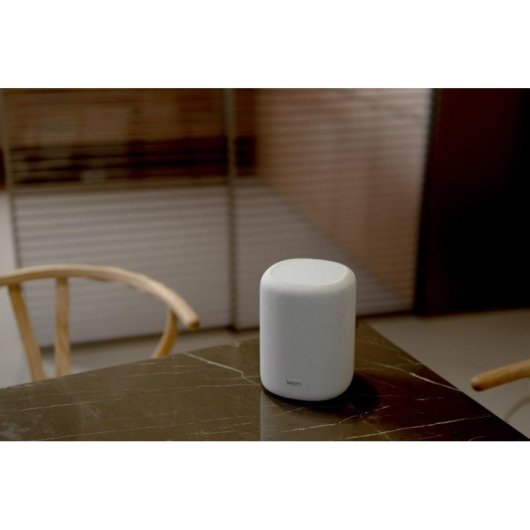Altavoces WiiM portátiles estéreo 100W con Wi-Fi 6E, Bluetooth 5.3 y Alexa