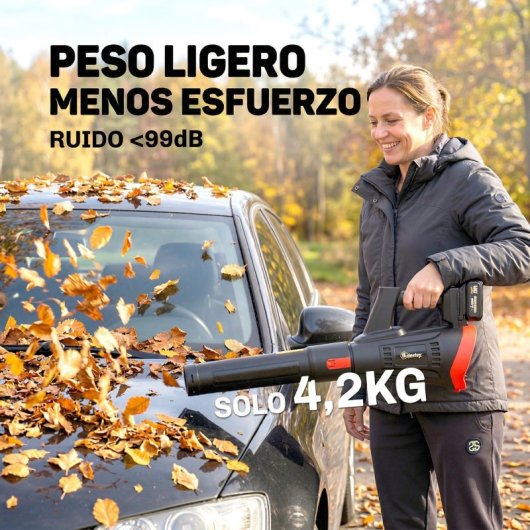 Outsunny Soplador De Hojas Sin Cable 18v Con 2 Baterías 4.0ah Y Cargador Negro