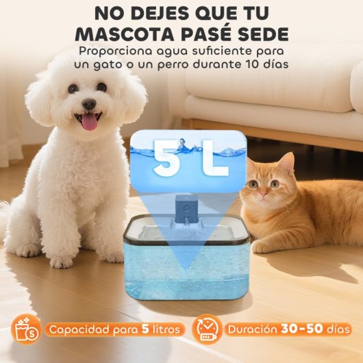 Pawhut Fuente Para Gatos De Acero Inoxidable 5l Súper Silencioso Con Luz Led