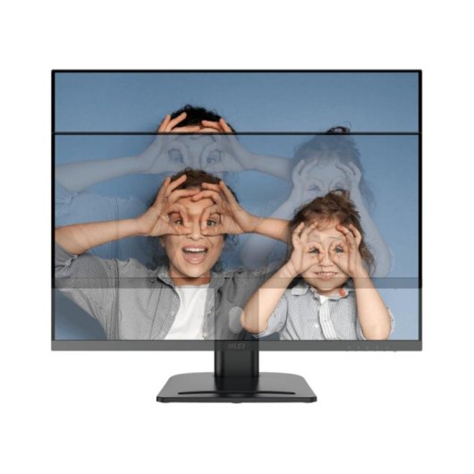 Monitor MSI Pro MP273QPDE E2 27" Wide Quad HD 100Hz IPS HDR400 Altura ajustable