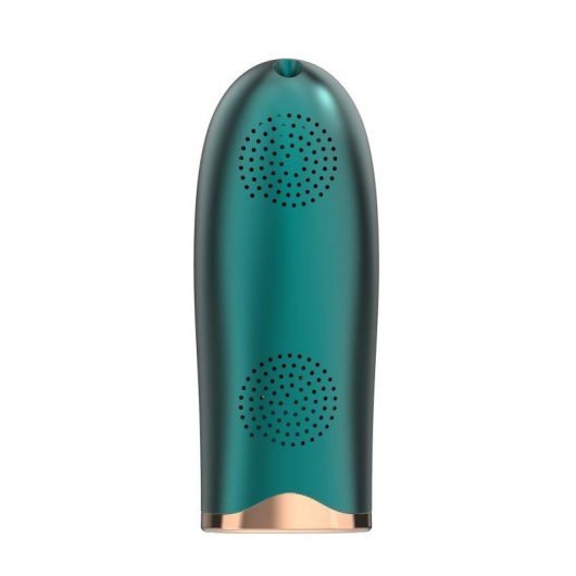 Depiladora Luz Pulsada IPL Dam Electronics T34 5 Niveles 1 Cabezal Pantalla LED