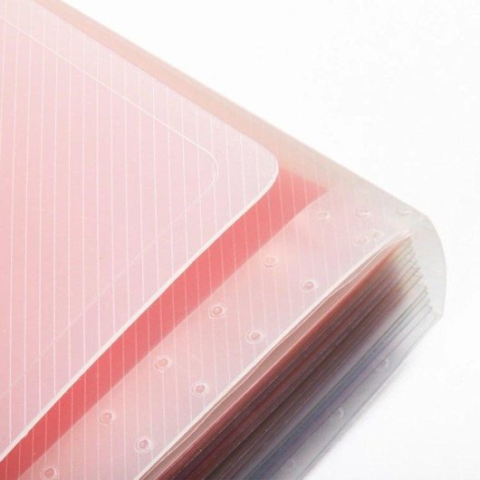 Carpeta Clasificadora Liderpapel Spectrafile Fuelle Polipropileno DIN A5 Transparente