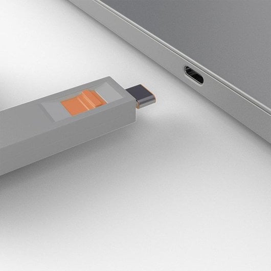 Chave de Bloqueio de Porta Lindy 40428 USB Tipo C 4 Peças Cinza/Laranja