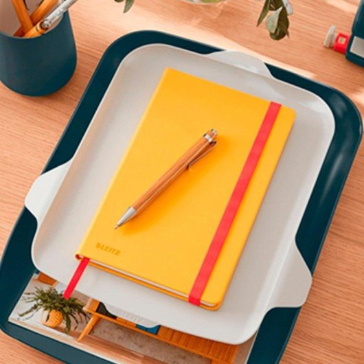 Bandeja Porta Documentos Leitz Cosy Gris con Organizador de Sobremesa A4