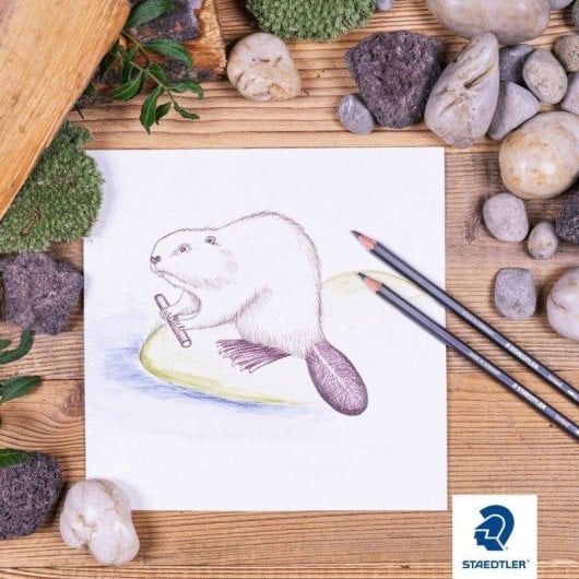 Lápis de cores Staedtler Noris colour 185, 24 unidades, caixa de cartão