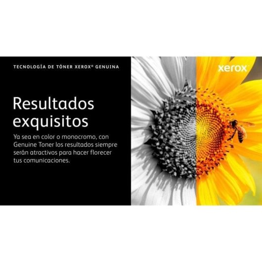 Cartucho de tóner cian Xerox C320/C325 Capacidad Estándar 1800 páginas