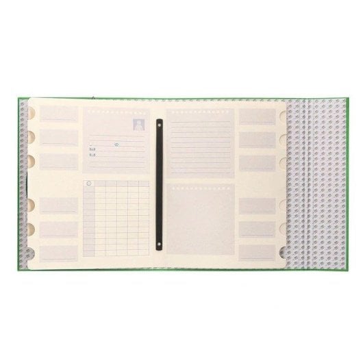 Cartella Classificatrice Liderpapel Formato Folio Prolungato Chiusura Gomma Cartone Verde Chiaro