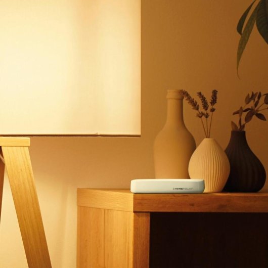 Central de Domótica HOMEPILOT 15001001 Wifi com Controlo por Voz Alexa Google Siri