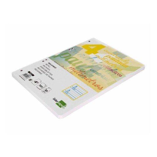 Cuaderno Liderpapel Cuartos 100 Hojas 75 g Cuadriculado Pautado 4 mm Con Margen 6 Taladros