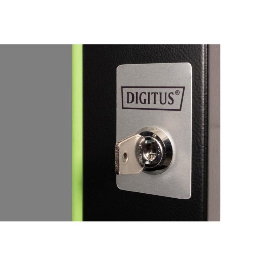 Porte en verre pour rack 19" 12U Serie Unique Digitus Noir