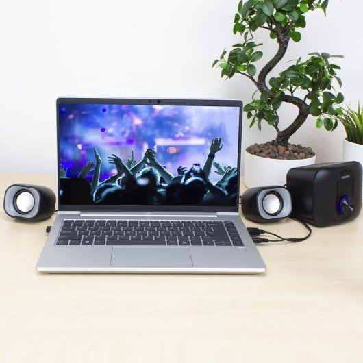 Haut-parleurs Eminent 2.1 câblés USB 11W pour PC portable noir