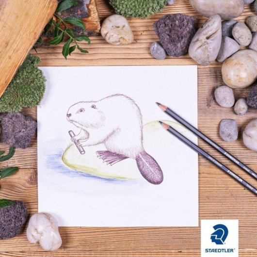 Staedtler - Scatola con 18 Matite Colorate Ecologiche