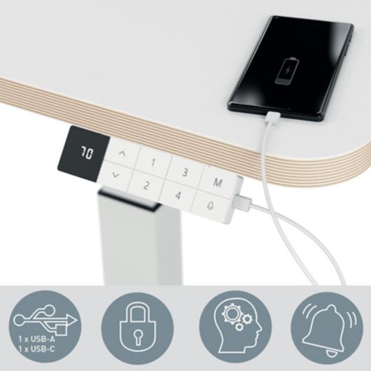 Escritorio de pie Leitz Ergo 65340001 Gris Oscuro Ajuste Eléctrico 80 kg