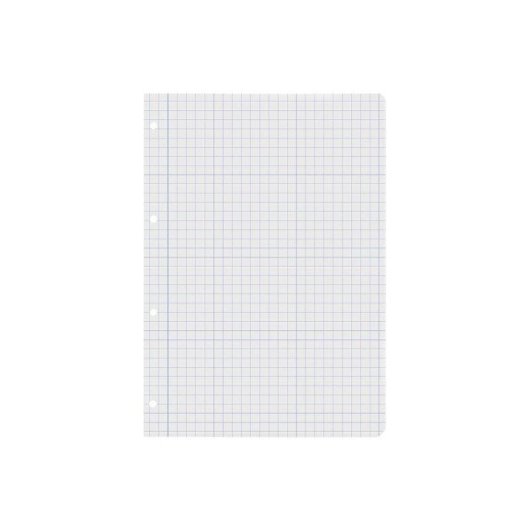 Rimpiazzo A4 100 fogli 60g/m2 quadrettato 8mm con margini 4 perforazioni Liderpapel
