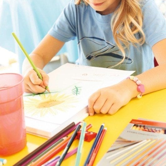 Estuche de Metal con 24 Lápices de Colores Brillantes Acuarelables STABILO