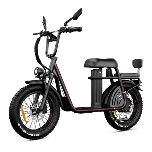 Bicicleta Elétrica Drvetion Et20 750W 48V20AH 20" Freios Hidráulicos Preto