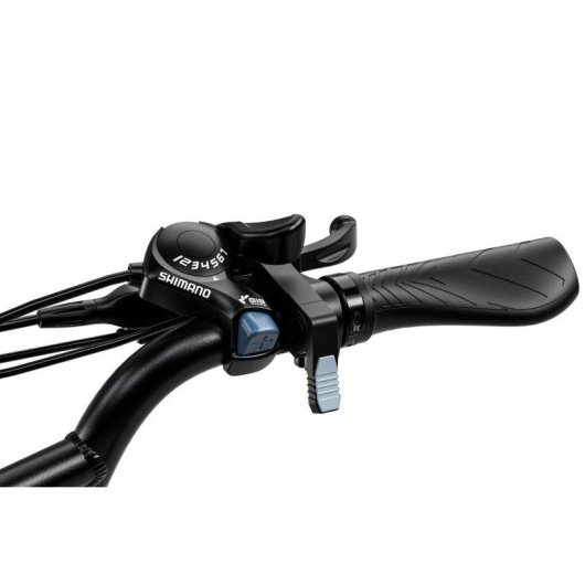 Bicicleta Eléctrica Zwheel Urban Pioneer 250W 48V 13Ah Verde