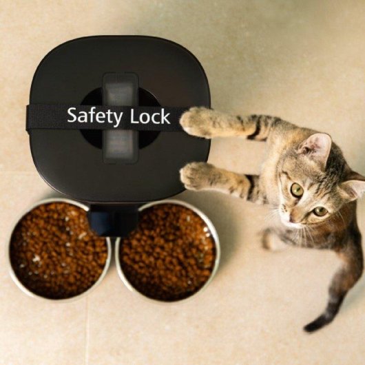 Comedero Automático Mascotas Cecotec Pumba 8600 Double Meal Vision Wifi Cámara