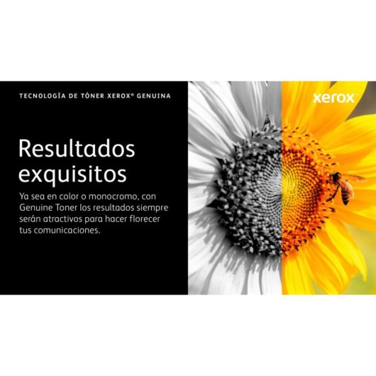 Cartucho de Tóner Cian Xerox VersaLink C410/C415 Capacidad Estándar 2000 Páginas