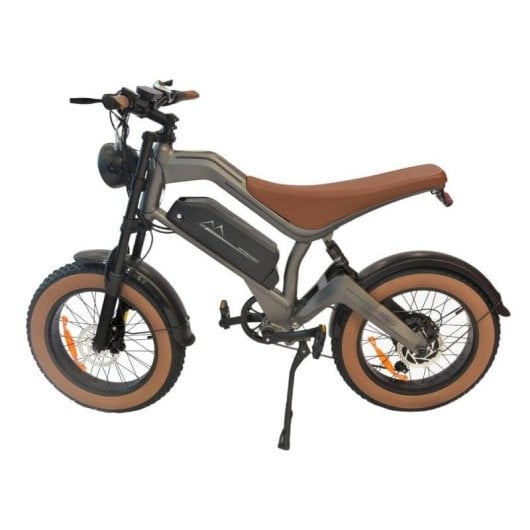 Dyu M20 Adulto Bicicleta Eléctrica 1500W Motor 48V 18.2Ah Batería 20 Pulgadas Neumático Graso