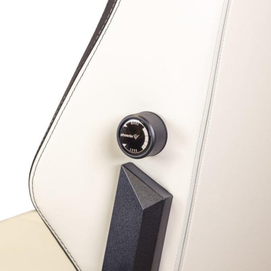 Silla Gaming Phoenix Monarch Remaster Cuero Napa Negra y Blanca Talla R