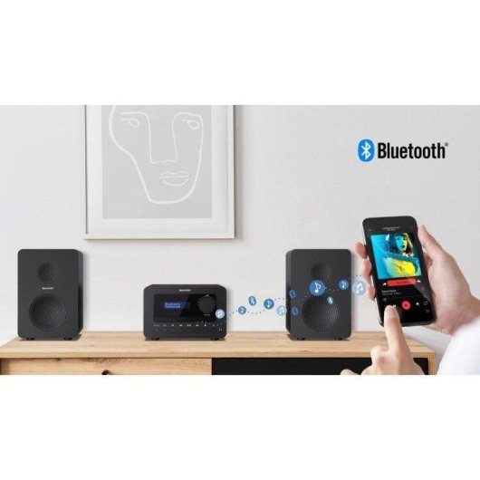 Microset Sharp TOKYO DAB+ 40W RMS Bluetooth 5.0 DAB/FM USB