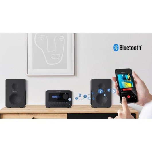 Microset Sharp TOKYO DAB+ 40W RMS Bluetooth 5.0 DAB/FM USB