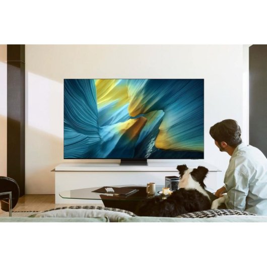 TV Samsung OLED QE83S95FAE 83" 4K UltraHD 100Hz Smart TV Tizen HDR10+ Dolby Atmos