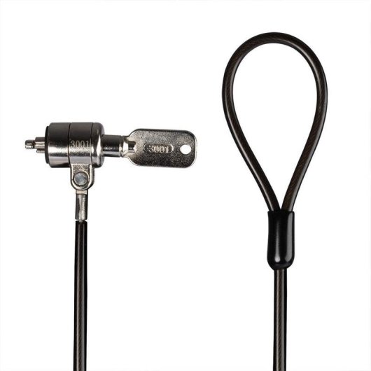Câble antivol Lindy 21150 2 m avec clé pour ordinateur portable