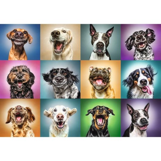 Puzzle Trefl 10462 1000 pièces Animaux Chien