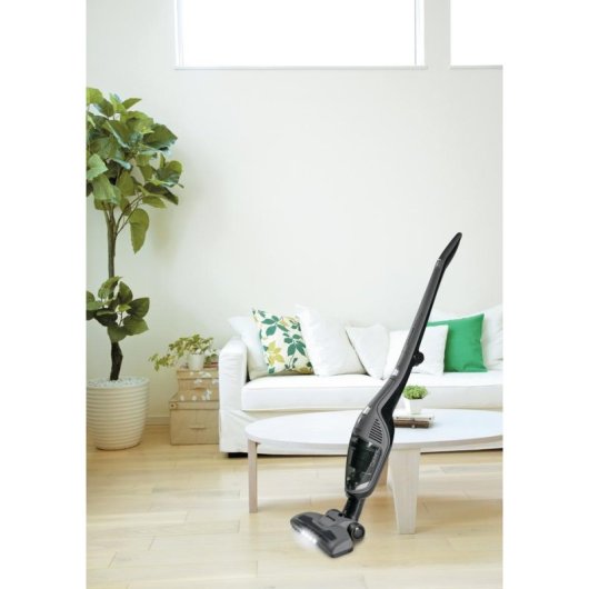 Aspiradora sin Cable Gorenje SVC216FGD 21,6 V 60 min Turbo Brush Negro HEPA