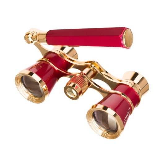 Gemelos De Opera Con Mango Levenhuk Broadway 325e  Rojo