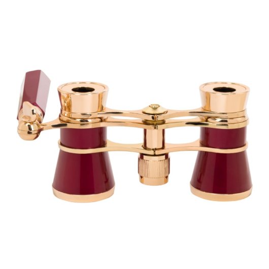 Gemelos De Opera Con Mango Levenhuk Broadway 325e  Rojo