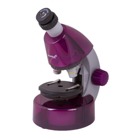 Microscopio Levenhuk Labzz M101 Violeta