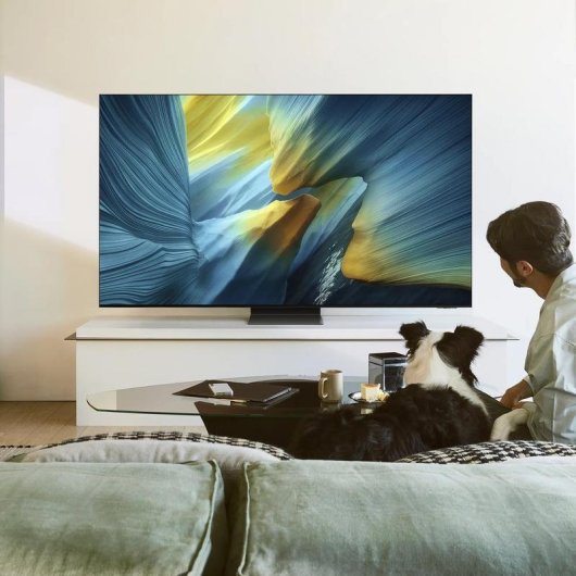 TV Samsung OLED QE77S95FAT 77" 4K UltraHD 100Hz Smart TV Tizen HDR10+ Dolby Atmos
