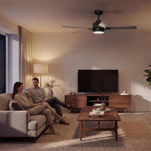 Ventoinha de Teto com Luz Cecotec EnergySilence Aero 552 Neo 30W 132cm 6 Velocidades Motor DC Comando Temporizador Função Inverno