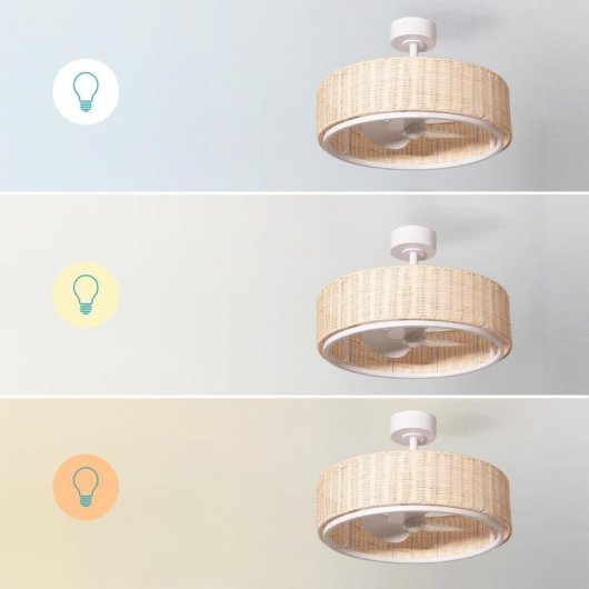 Ventilador de Techo con Luz Cecotec EnergySilence LampAero 324 Camellia 10W 3 Aspas 6 Velocidades Motor DC Mando Temporizador Función Invierno