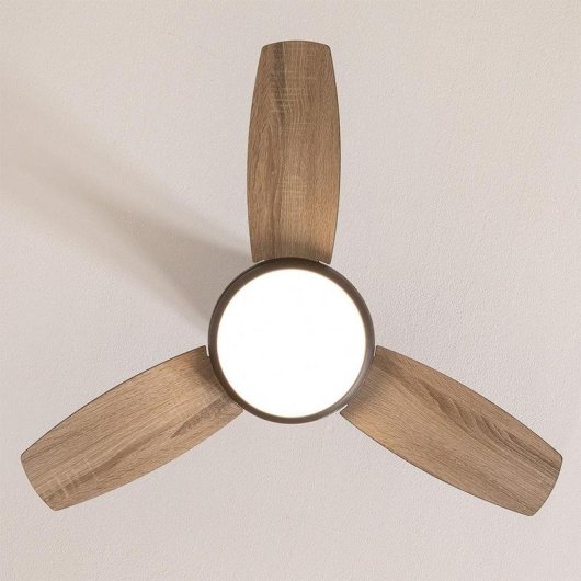 Ventilateur de Plafond avec Lumière Cecotec EnergySilence Aero 352 BlackBee 15W 91,5cm 6 Vitesses Moteur DC Télécommande Minuterie Fonction Hiver