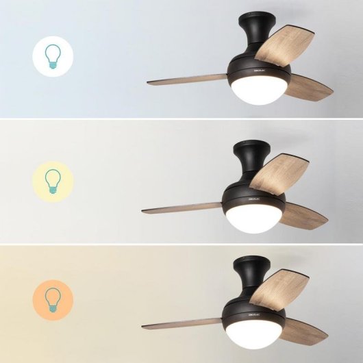 Ventilateur de Plafond avec Lumière Cecotec EnergySilence Aero 352 BlackBee 15W 91,5cm 6 Vitesses Moteur DC Télécommande Minuterie Fonction Hiver