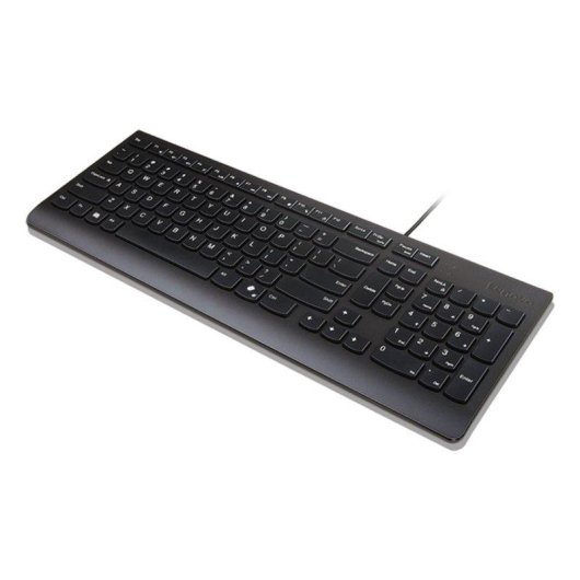 Teclado Lenovo Essential Alámbrico Plunger key switch completo con teclado numérico y Copilot