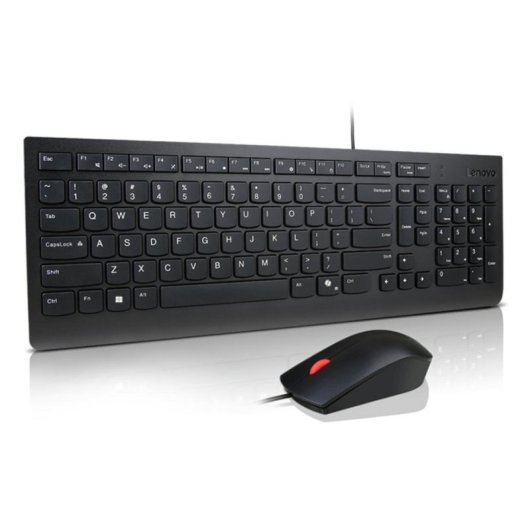 Teclado Lenovo Essential Wired Combo membrana completo con ratón óptico USB negro