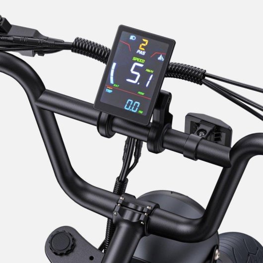 Bicicleta Eléctrica Engwe M1 Eu 250W 48V 20" Negro