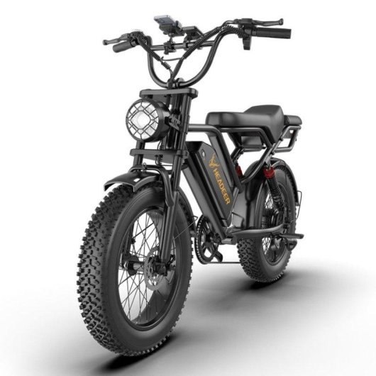 Bicicleta Eléctrica Headeer BK20 Motor 750W Batería 48V 20Ah 20" Frenos de Disco