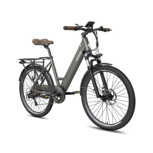 Bicicletta Elettrica Fafrees F26 Pro - Motore 250W Batteria 36V15ah Ruote 26x1.75 Freni a Disco Meccanici Grigio